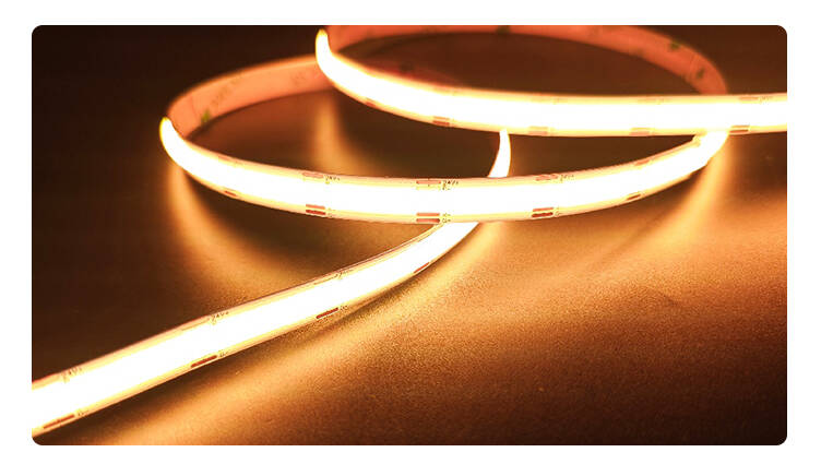 Dual color tunable white LED strip